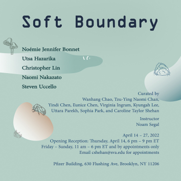 Soft Boundary
