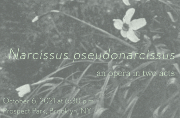 Narcissus pseudonarcissus: an opera in two acts